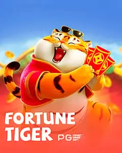 Guia para Iniciantes na nova bet